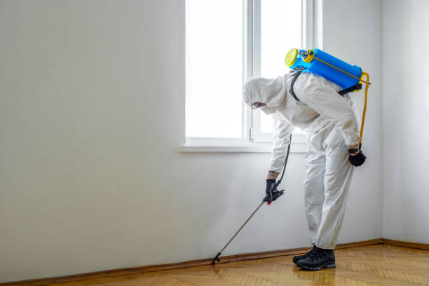 Best Flea Control Services  in Edgemont Park, MI