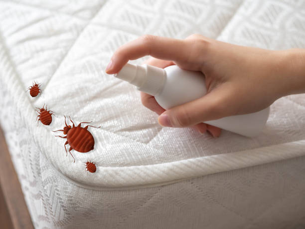 Edgemont Park, MI Pest Control Company