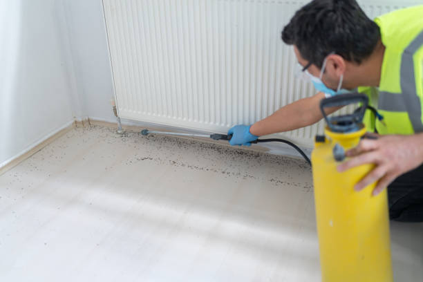 Flea Control Services in Edgemont Park, MI